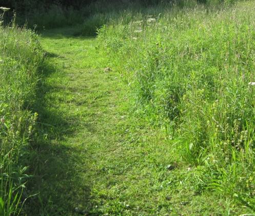 Mown path, Gateshead. Photo: Janice Astbury