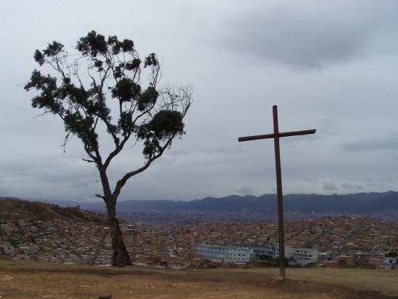 El palo del ahorcado (The hanging tree). Photo Diana Wiesner