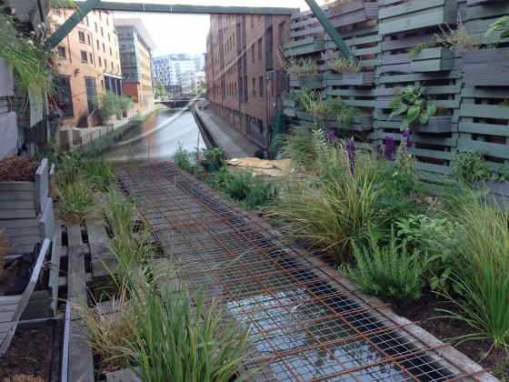 What regeneration of the canal landscape could look like? (The backdrop is a photo of the sort of regeneration that is going on just behind this greener space created in the corner of a car park in Manchester. Photo; Janice Astbury