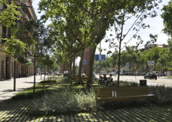 This stretch of Passeig Sant Joan is part of the urban green corridor connecting Ciutadella Park with the Collserola Mountain Range