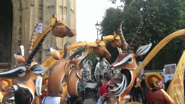 climate march giraffes. Photo: Mary Rowe