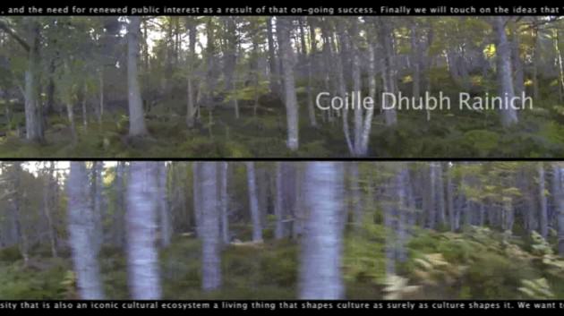 The Forest is Moving: Tha a’ Choille a’ Gluadad’, Collins & Goto Studio with Beathag Mhoireasdan, (2013).