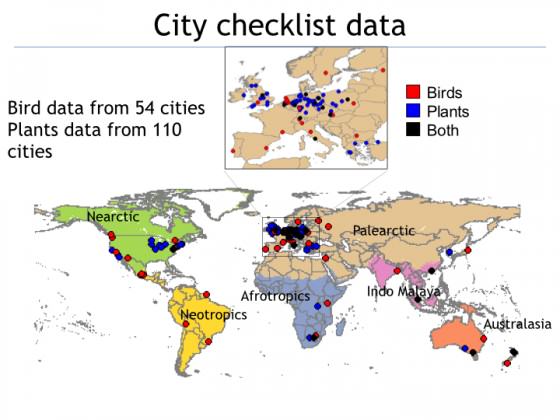 Cities with city-wide plant and bird data.