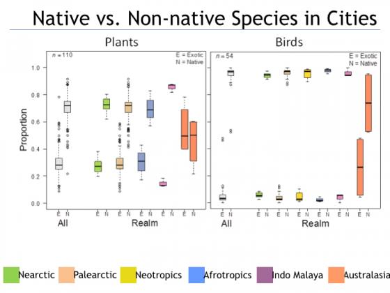 Native species are an important part of urban biodiversity.