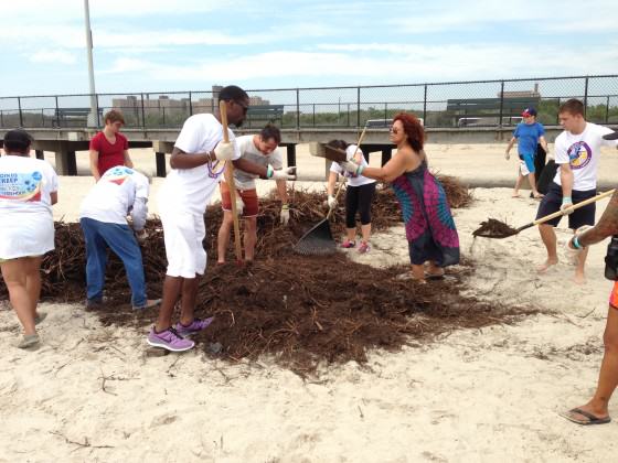 Dune stewardship volunteers with Surfrider NYC. Photo: Bryce DuBois