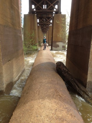 The Pipeline Trail in the James River, Charlottesville, Virginia, USA. Photo: Tim Beatley