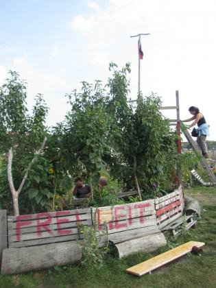 Tempelhofer Feld Community Gardens 2