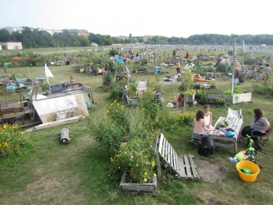 Community gardens and recreational spaces, Tempelhofer Feld, September 2014. Photos: Katharine Burgess