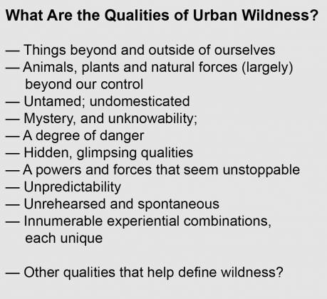 Beatley--What Qualities Urban Wild