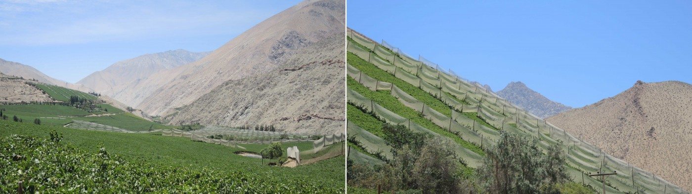 Agricultural land use visual effect in the Elqui Valley. Photos: @KDP