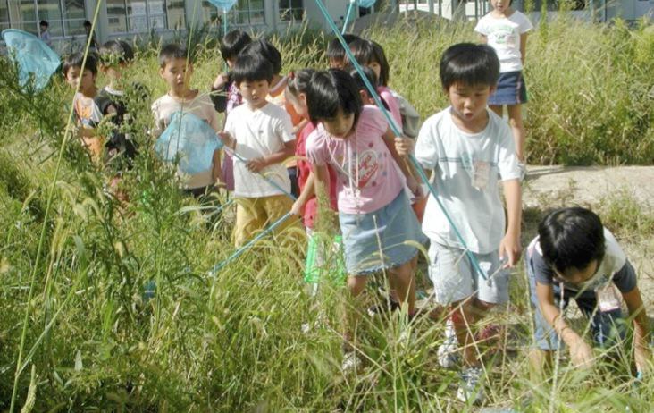 Finding insects in the biotope. Photo: Keitaro Ito