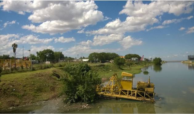 Buenos Aires waterfront. Removal of native vegetation (December 2014). Photo: Ana Faggi