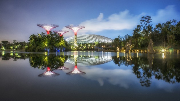 Garden by the Bay, Singapore. Design credit: Grant Associates. Photo: Darren Chin