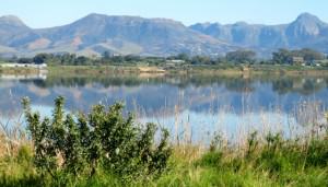 The Princess Vlei garden has been constructed by local school children. Photo: Georgina Avlonitis