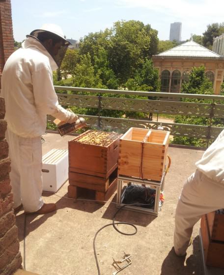 Setting up the big tech beehive. Photo: OpenSystems