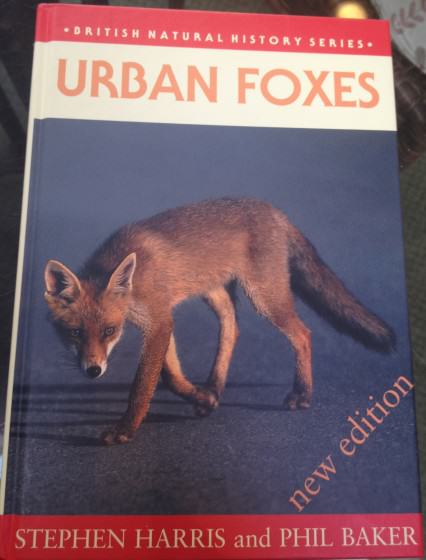 18 Urban Foxes cover