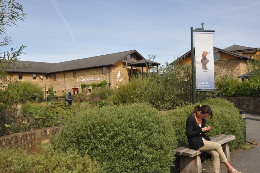 London Wetland Center Photo Mike Houck