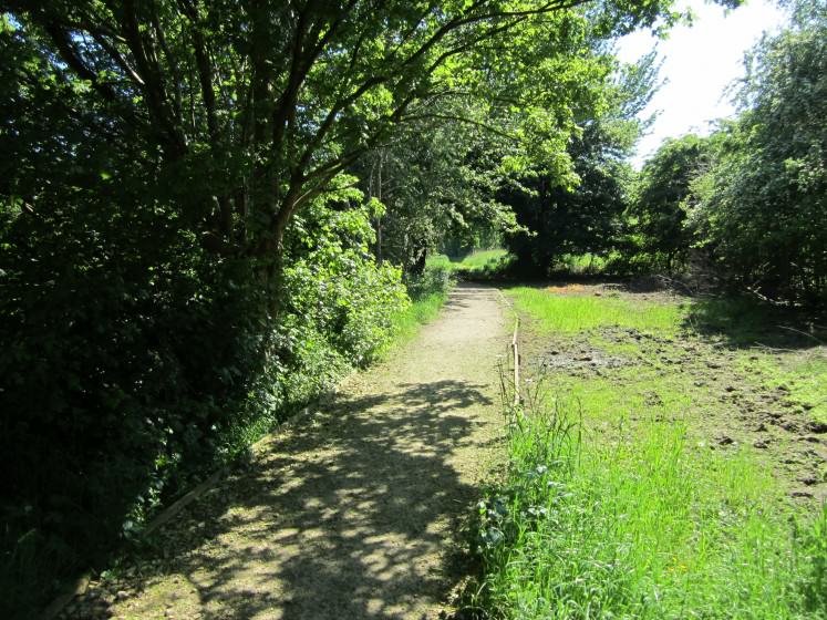 Path cared for by neighbours