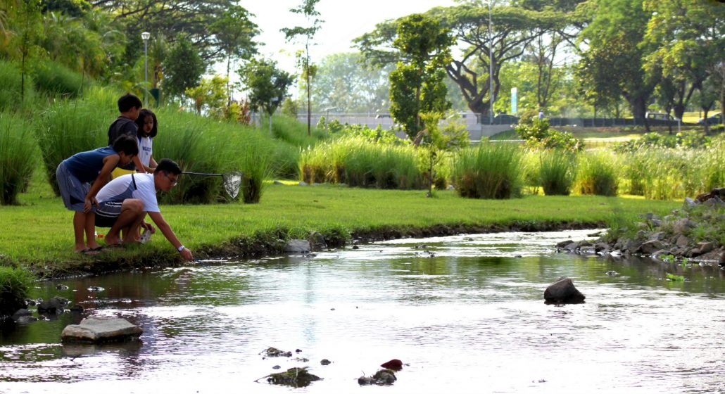 Bishan-Ang Mo Kio Park in Singapore. Photo: Atelier Dreiseitl