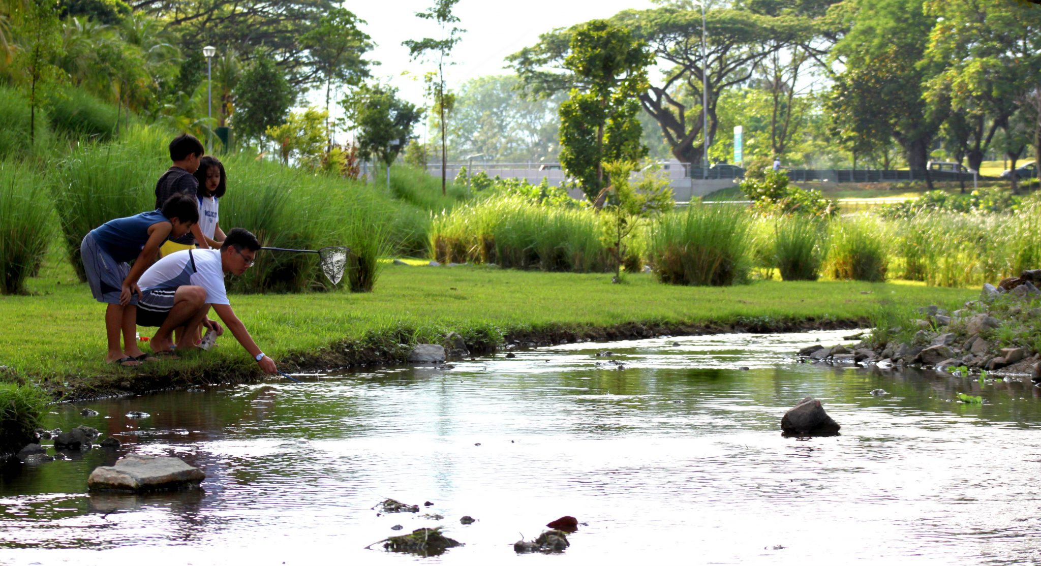 The Benefits of Adding a Stream to Your Pond