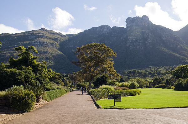 5) Kirstenbosch National Botanical Gardens, South Africa. Credit sat.greatstock.co.za