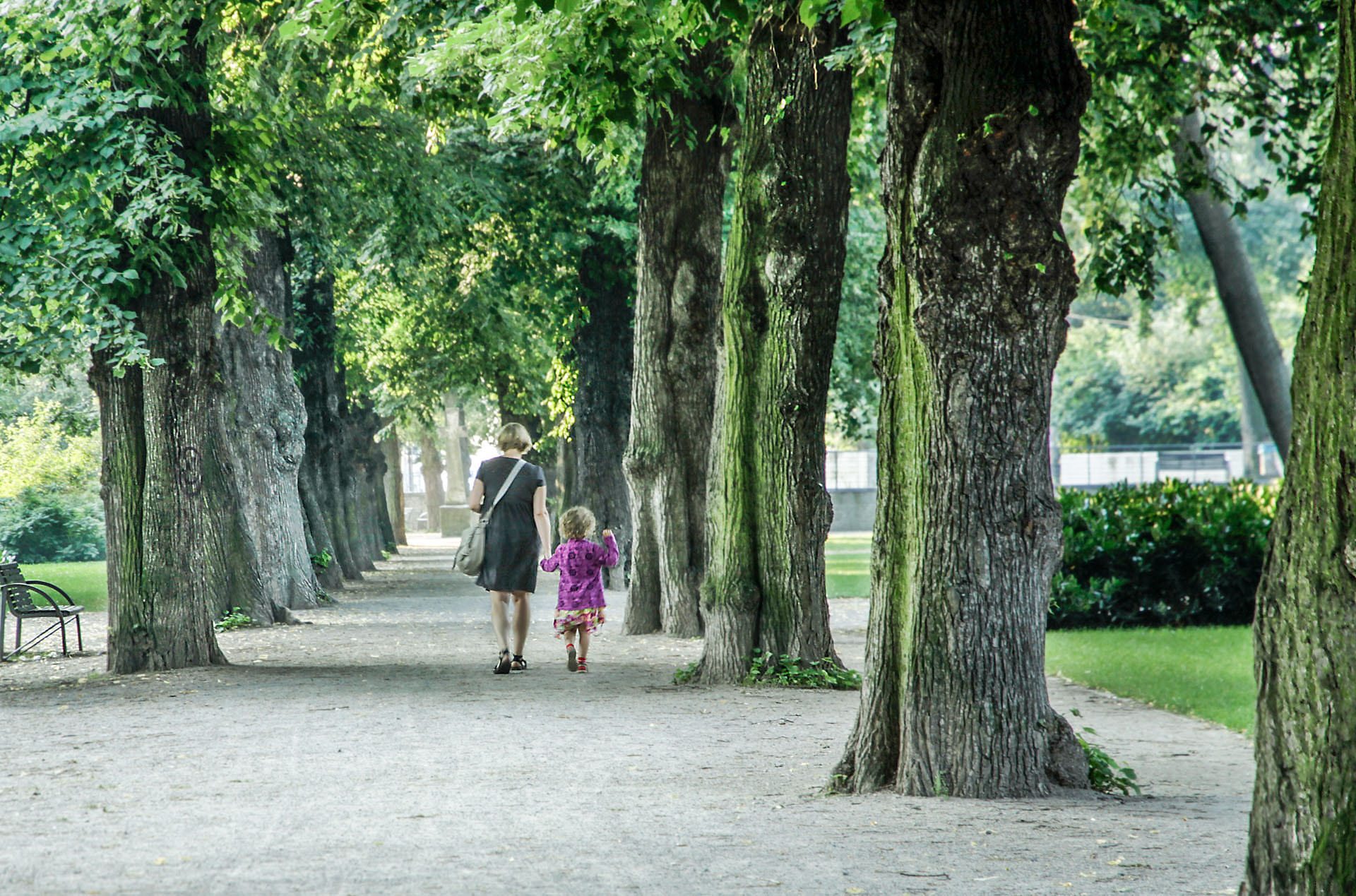 Erfurt inhabitants enjoy today the greenspace investments of the past. Photo (copyright) Monika Lawrence