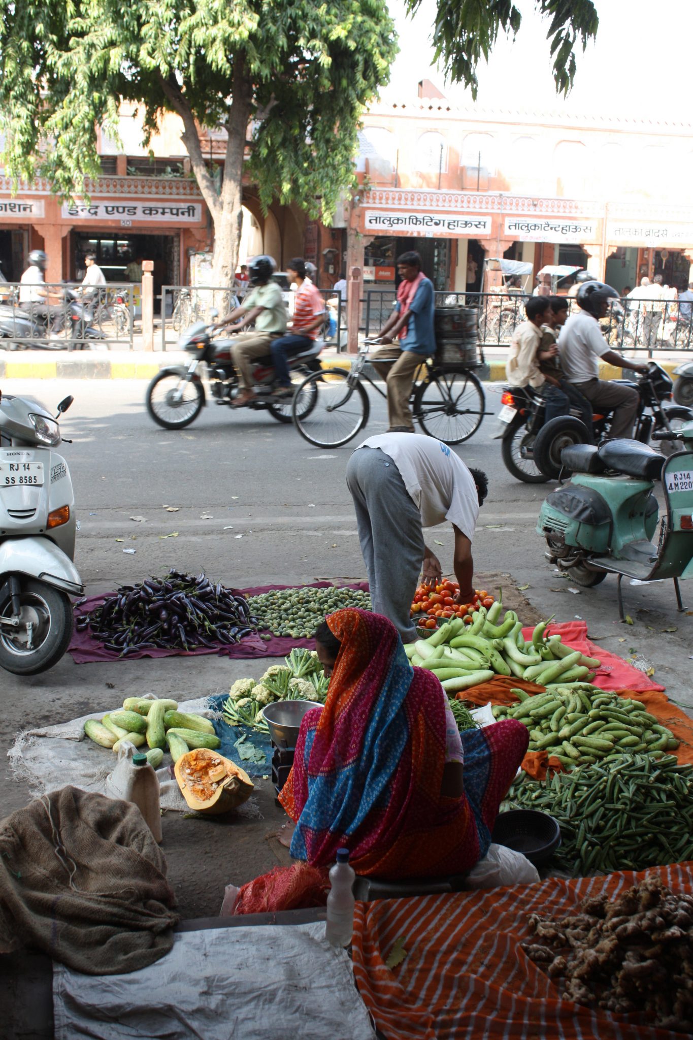 Vegetable sellers on a Jaipur street. Photo (copyright): David Maddox