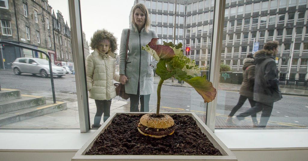 A living sculpture, What is Food was created with the help of Vero Alanis and installed in TENT Gallery in Edinburgh, Scotland. Credit: Patrick M Lydon and Vero Alanis