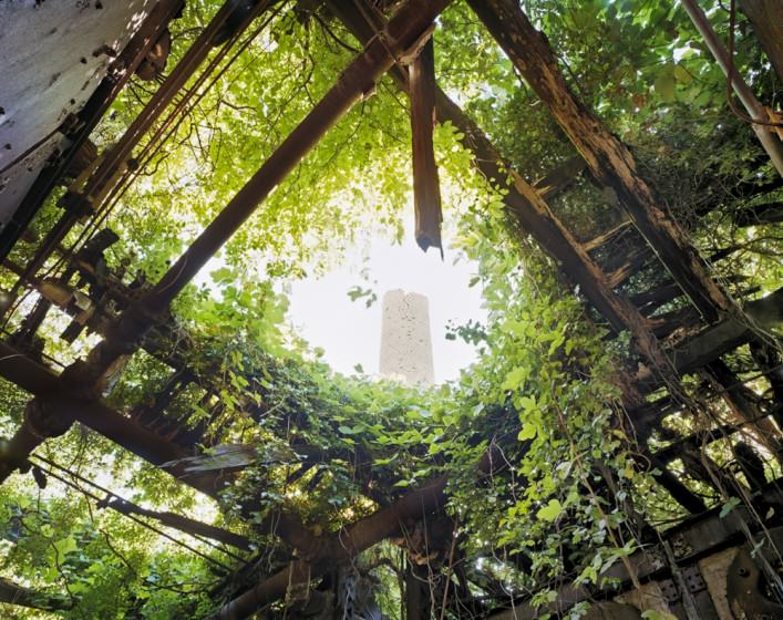 Boilerplant Roof Interior, North Brother Island, NY, NY.  By (copyright) Christopher Payne