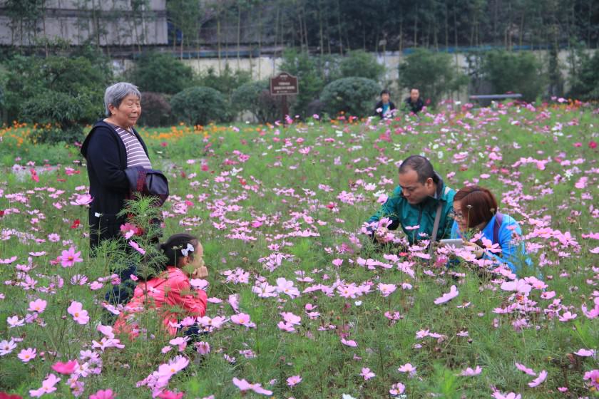 The Pictorial Garden with annual plants is an attraction for visitors; it represents a Chinese interpretation of a very European idea.