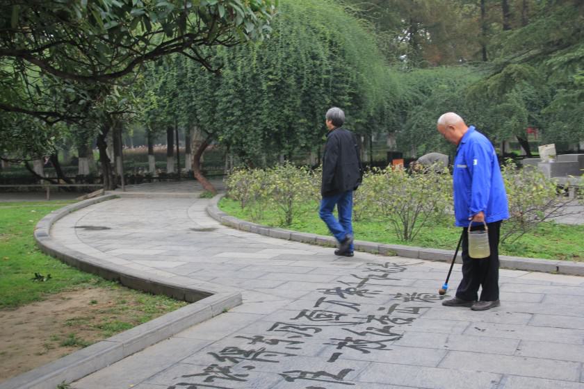 Xing Qing Gong Park in Xi’an City (built in 1958) can truly be called a “people’s” park