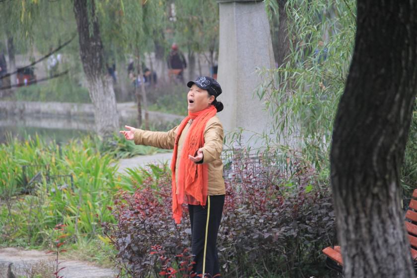 Xing Qing Gong Park in Xi’an City (built in 1958) can truly be called a “people’s” park