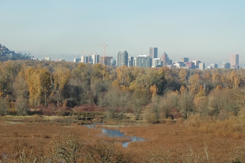 Oaks Bottom Wildlife Refuge. Photo: Mike Houck