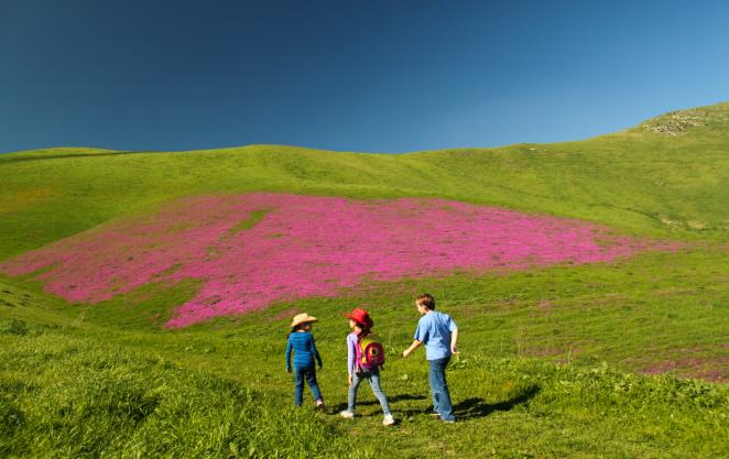 Image 22 - three children hiking across flower field