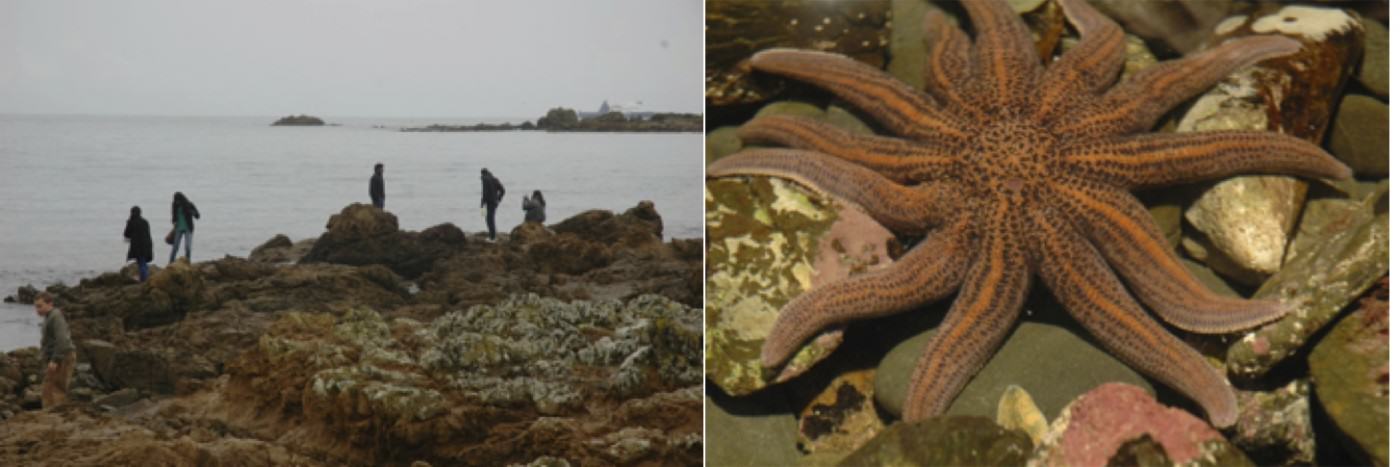 Images of the Taputeranga Marine Reserve