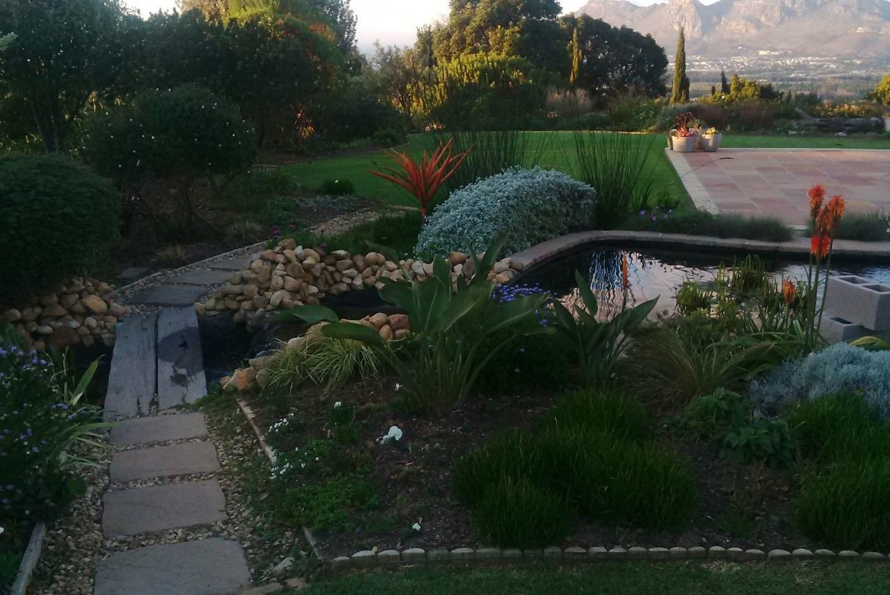 How Does Your Garden Grow? Stories from South African Gardeners – The