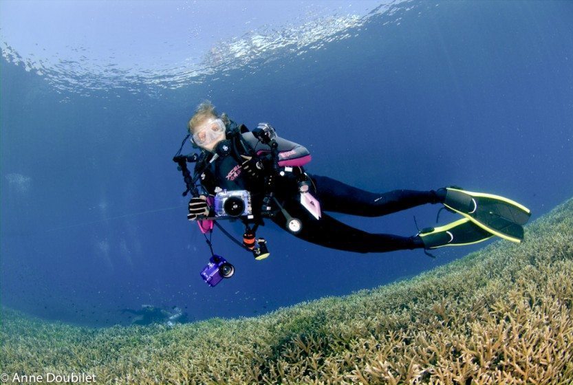 Papua New Guinea: ALD with cameras underwater on reef.