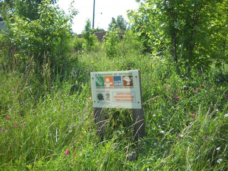 Green infrastructure planning. Photo: Greening of Detroit