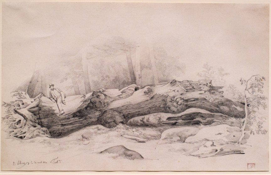 The Fallen Tree, Fontainebleau by Eugene Blery, 1831, Graphite on paper