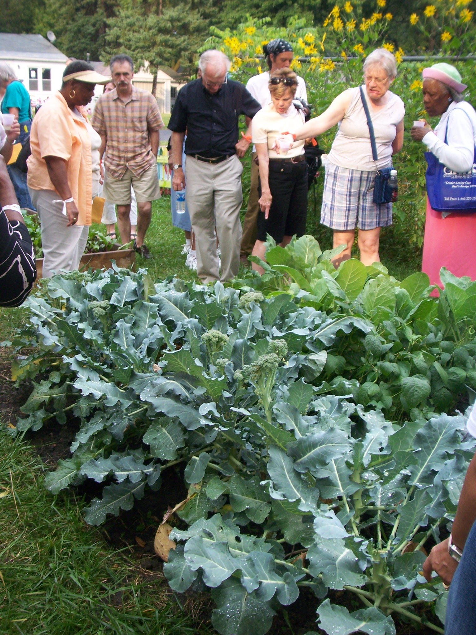 Neighbors building Brightmoor. Photo Credit: Greening of Detroit