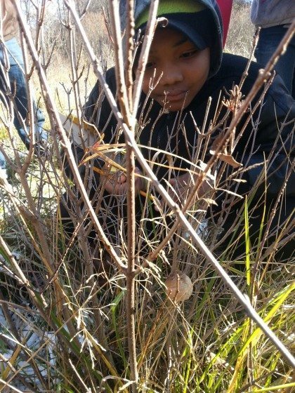 Our LAND. Photo: The Greening of Detroit