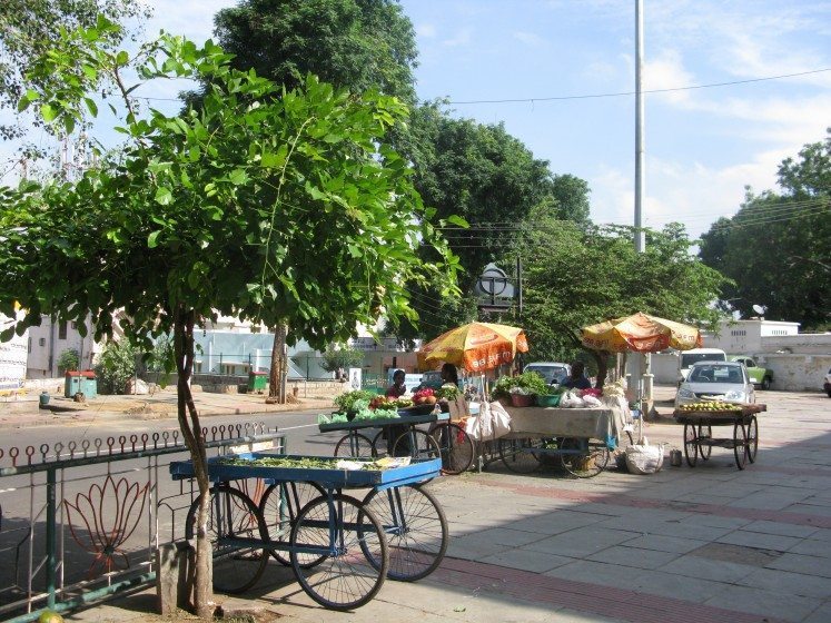 1. Trees provide shade for all, including vulnerable groups such as street vendors in Bangalore
