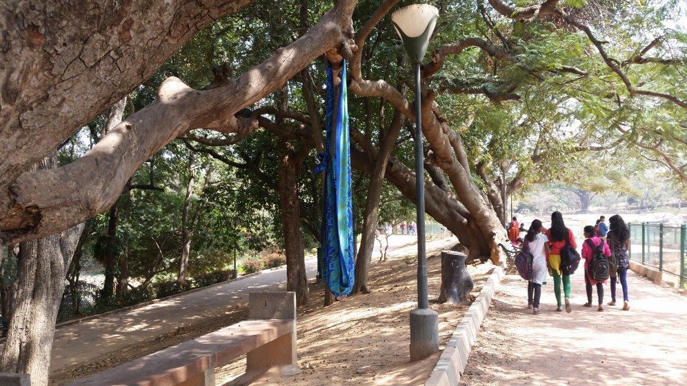 8. A tree branch provides shade and shelter for a makeshift cradle, holding the sleeping child of a street vendor in a Bangalore park-1