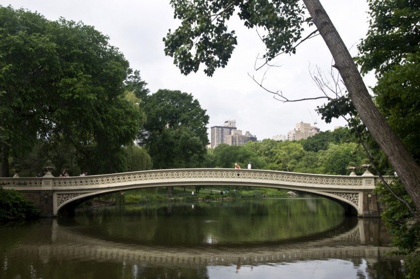 24_Central Park_BC_2013