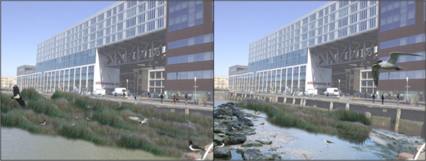 Examples of restoring tidal ecosystems in the city (artist impression)