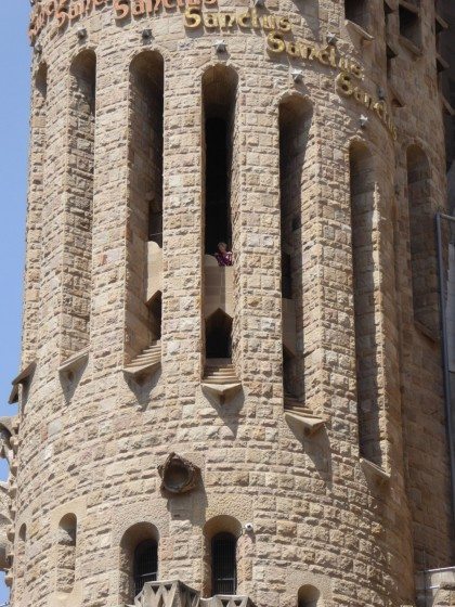 04 Peregrine Falcons have found sanctuary in Gaudi's Sagradia Familia in Barcelon