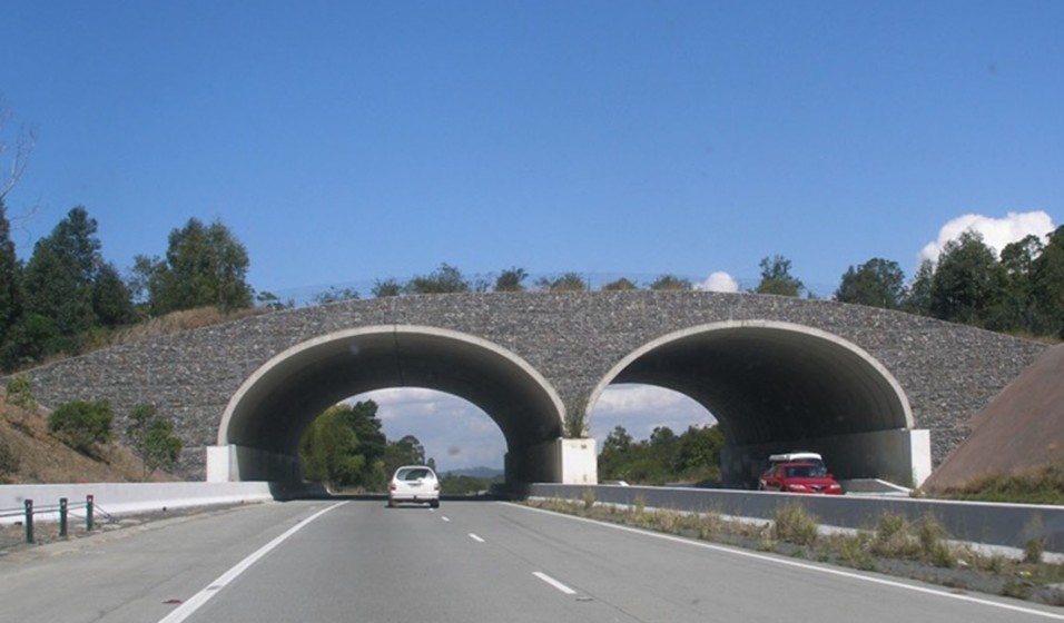 06 Wildlife bridge over highway in Queensland, Australia