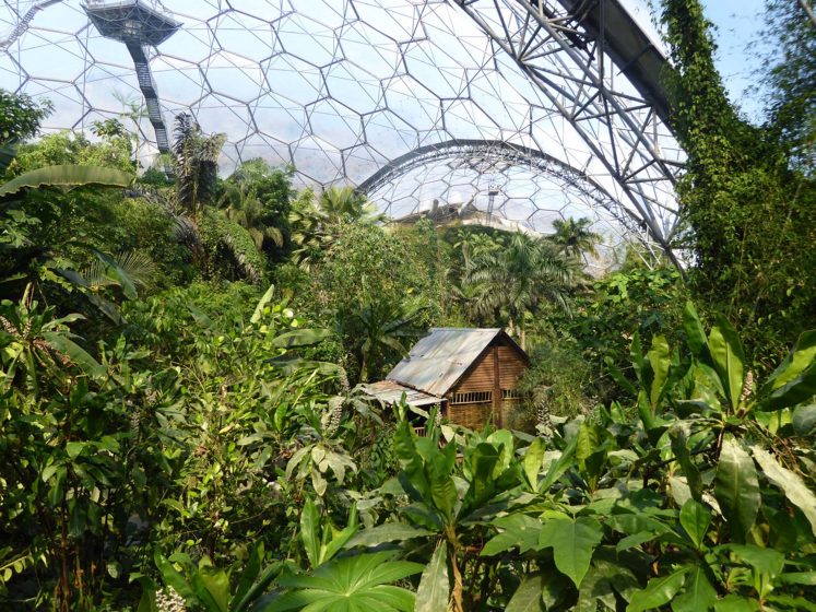 14 Eden Project domes