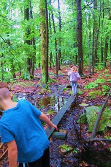 Children_Exploring_Nature