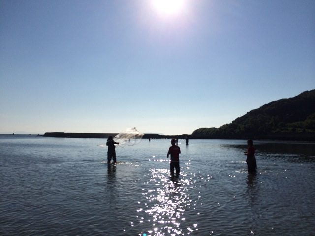 Students making a survey in the coastal area.